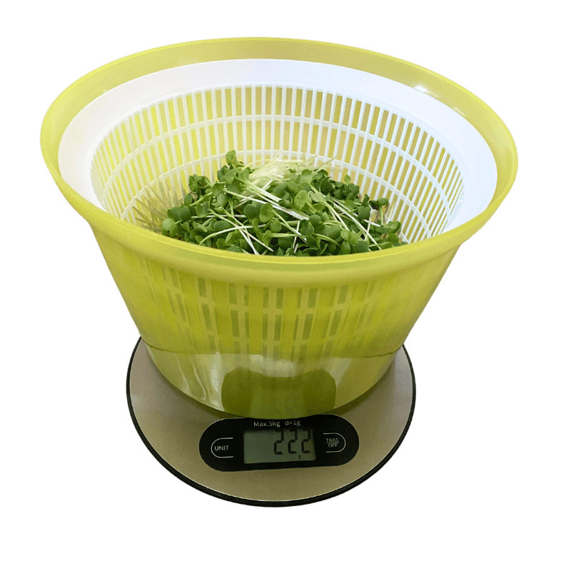 Váha sklizených microgreens